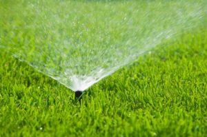 A sprinkler head sprays water over a green lawn.