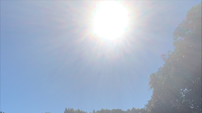 Ventura Marathon 2025 Photo