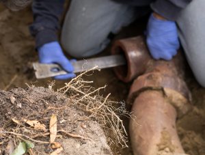 Trenchless Sewer Repair