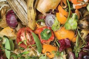 Vegetables that went through garbage disposal