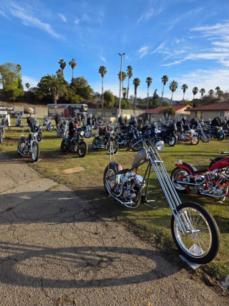 Custom chopper motorcycles parked on grass at a sunny outdoor bike show with palm trees and attendees.