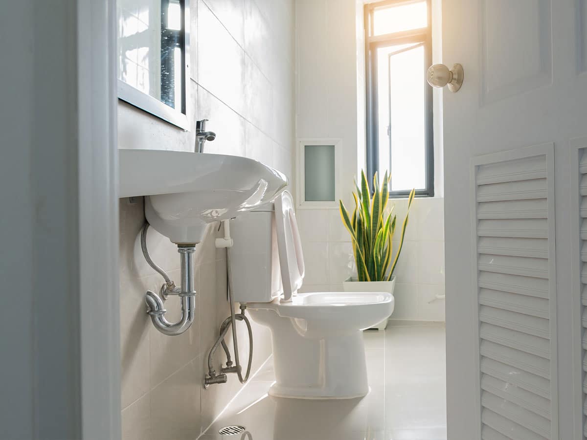 Sunny modern bathroom with wall-mounted sink, toilet and potted snake plant by window